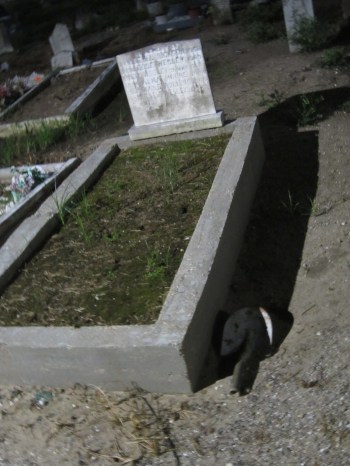 New Orleans cemetery with shovel