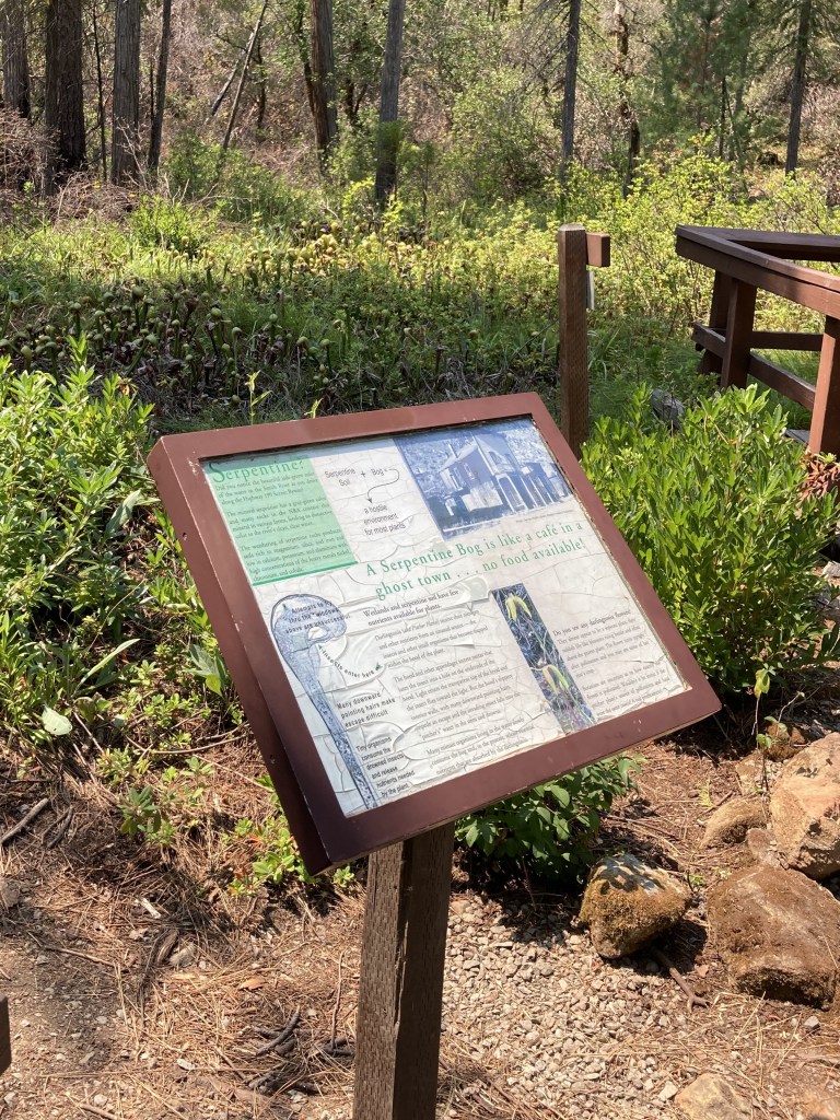 Informational plaque in front of serpentine bog with pitcher plants at Darlingtonia Trail